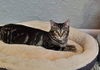 MARY KATE & ASHLEY - Offered by Owner - Sisters