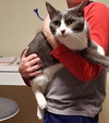 ROSIE & PEARL - Offered by Owner - Family Pets