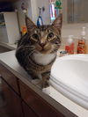 Romeo the Cutie!