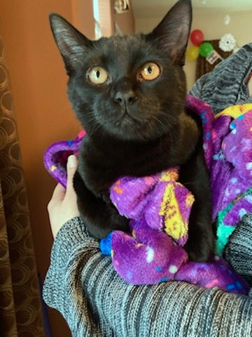 ONI - Teen boy needs buddies