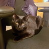 ONI - Teen boy needs buddies