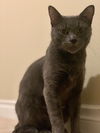 NALA - Offered by Owner - Young Female