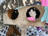 COW CATS - Rodent Control - Offered by Owner