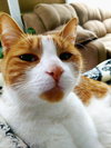 OZZY - Offered by Owner