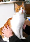 OZZY - Offered by Owner