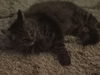 DEWEY and CINDA  Siblings
