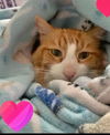KITAAN - Offered by Owner - Senior