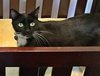 PIERRE - Offered by Owner