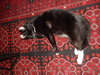 PIERRE - Offered by Owner
