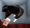 PIERRE - Offered by Owner