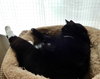 PIERRE - Offered by Owner