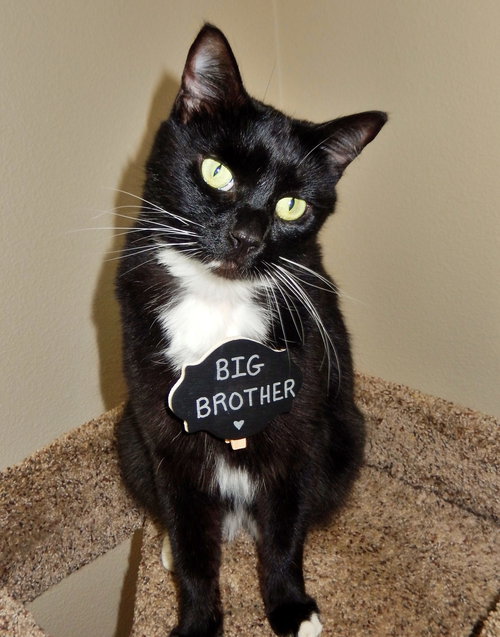 PIERRE - Offered by Owner