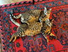 CLEO & TAJ - Bonded Young Siblings