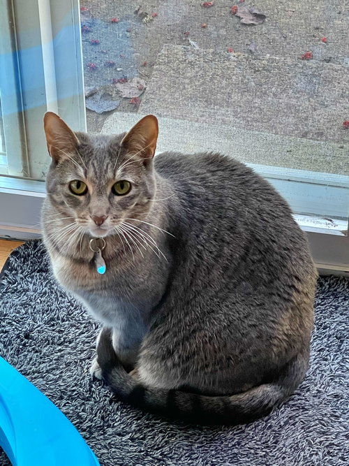MIA- Young adult Female