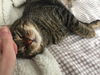 TERRANCE - Offered by Owner