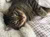 TERRANCE - Offered by Owner