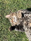 TERRANCE - Offered by Owner