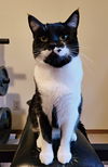 Kylah and Kieran - Bonded young pair