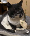 TUX - Offered by Owner