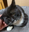 TUX - Offered by Owner