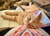 MAX - Offered by Owner - I NEED A PLAYMATE!