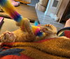 MAX - Offered by Owner - I NEED A PLAYMATE!