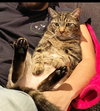 JON SNOW - Offered by Owner