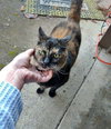 ROXANNE - Offered by Owner - Friendly Senior