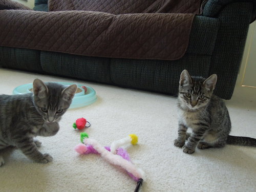 Meeny & Miny
