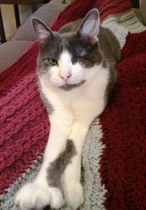 ONE-EYED JACK - Offered by Owner