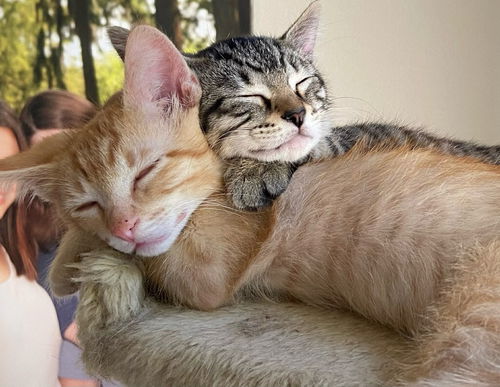 An Amazing pair