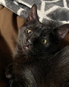 JOEY - Special Needs