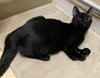JOEY - Special Needs