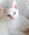 CLOUD & SKY - Offered by Owner - Brother Pair