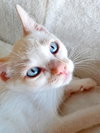 CLOUD & SKY - Offered by Owner - Brother Pair