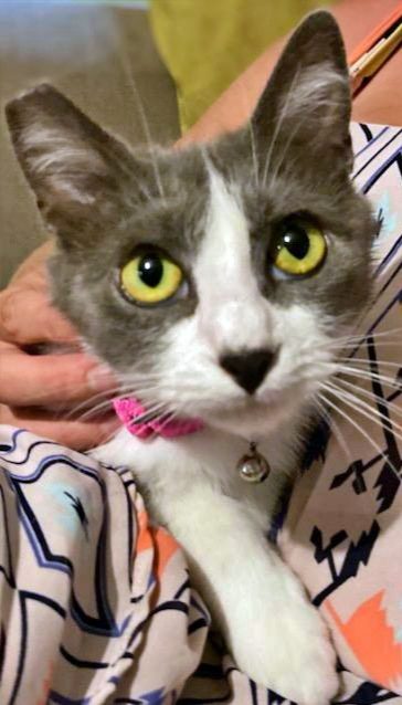 LILY - Offered by Owner - Young Female