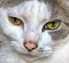 EUNICE - Offered by Owner - Friendly Senior