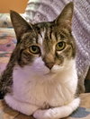 SPENCER -Offered by Owner - Senior Loverboy