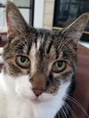 SPENCER -Offered by Owner - Senior Loverboy