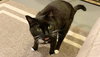 MONA - Offered by Owner