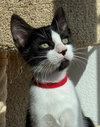 Ares