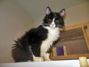 PIXEL - Offered by Owner - Senior