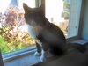 PIXEL - Offered by Owner - Senior