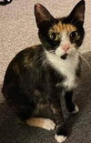 ATHENA - Offered by Owner - YOung Female