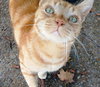 PURRSEUS - Offered by Owner