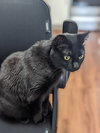 PRINCESS ZOE