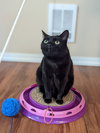 PRINCESS ZOE