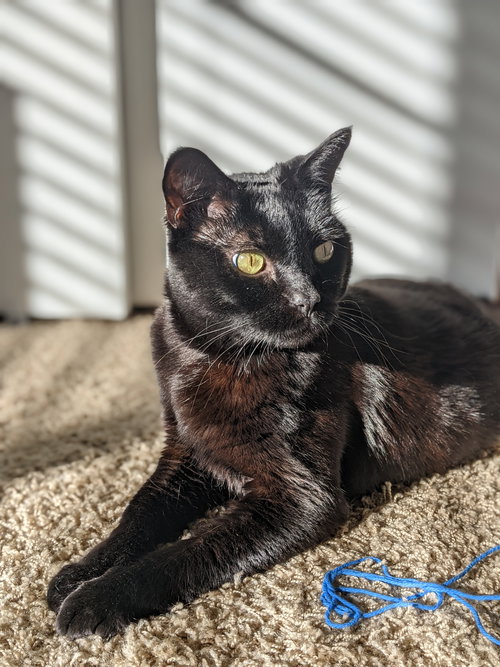 PRINCESS ZOE