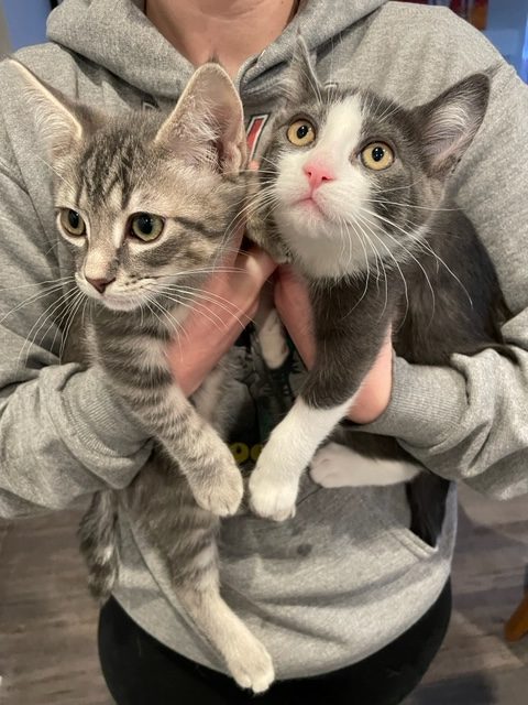 CHLOE and LEO