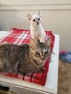 TILLY - Loves her People!